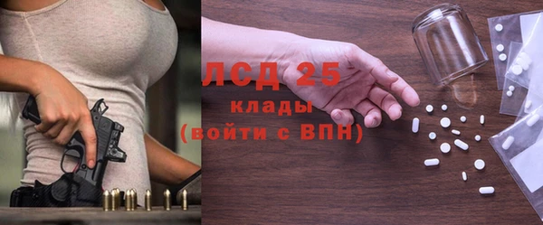 хмурый Дмитров