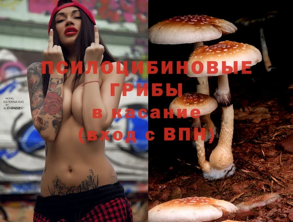 индика Дмитриев