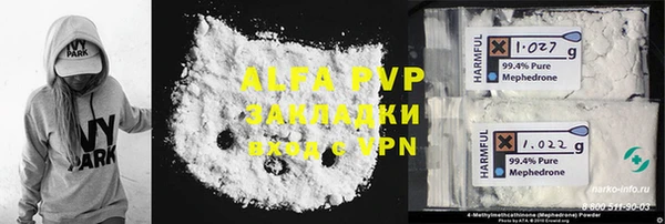 индика Дмитриев