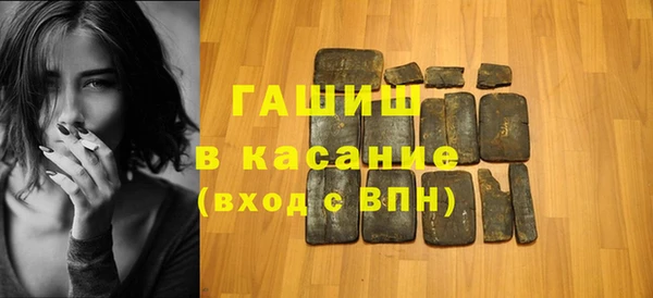 индика Дмитриев