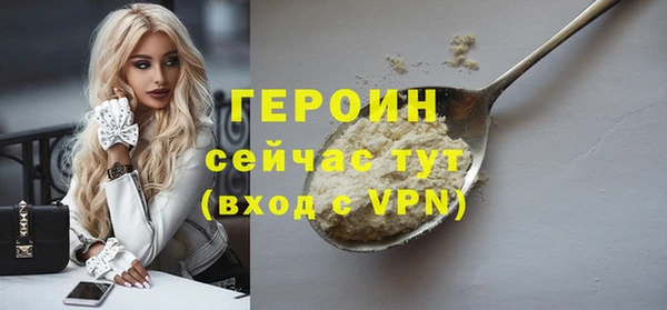 индика Дмитриев