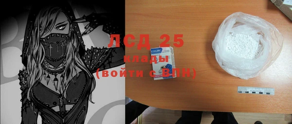 индика Дмитриев