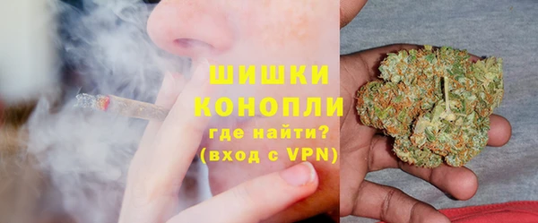 хмурый Дмитров