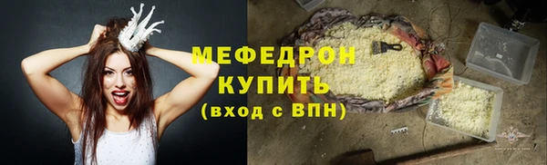 индика Дмитриев