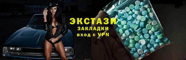индика Дмитриев