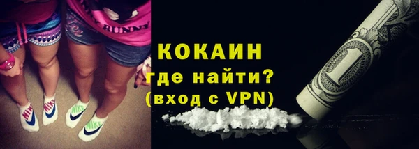 индика Дмитриев