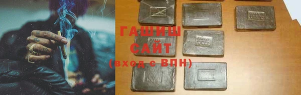 индика Дмитриев