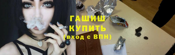 индика Дмитриев