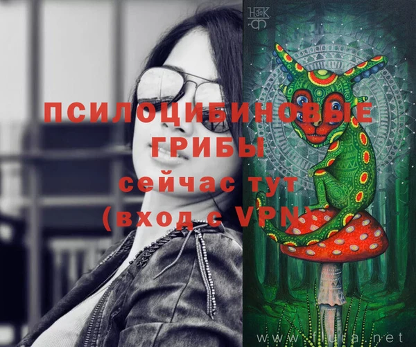 хмурый Дмитров