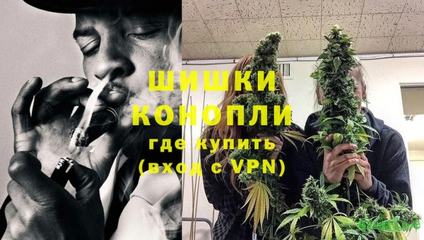 хмурый Дмитров