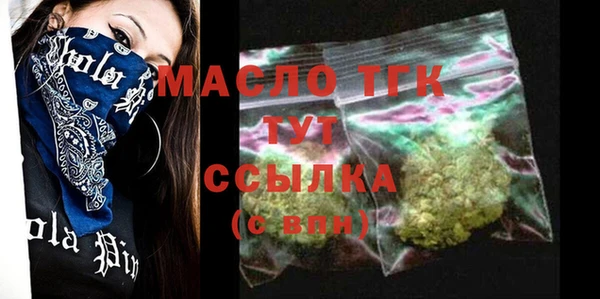 хмурый Дмитров