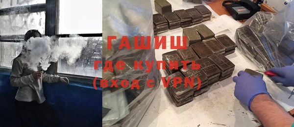 индика Дмитриев