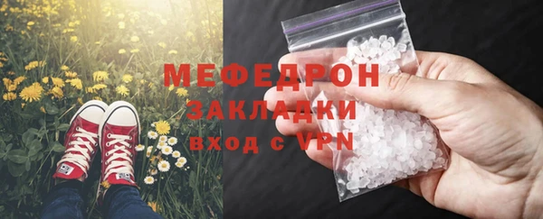 индика Дмитриев