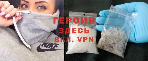 индика Дмитриев