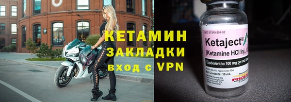 индика Дмитриев